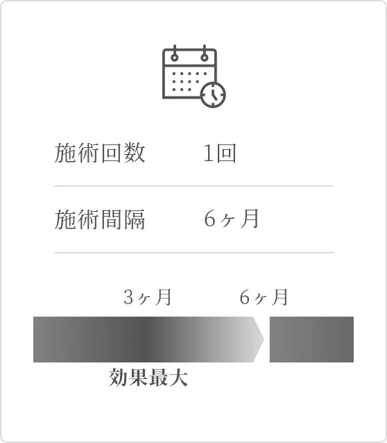 スケジュール(SP)