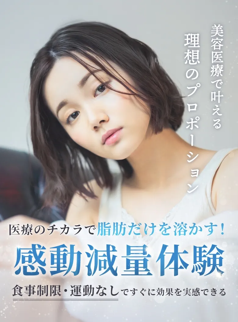 美容医療で叶える理想のプロポーション　医療のチカラで脂肪だけを溶かす！　感動減量体験　食事制限・運動なしですぐに効果を実感できる
